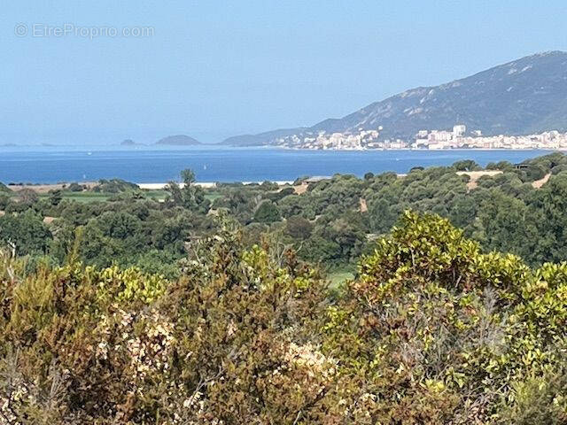 Terrain à PIETROSELLA