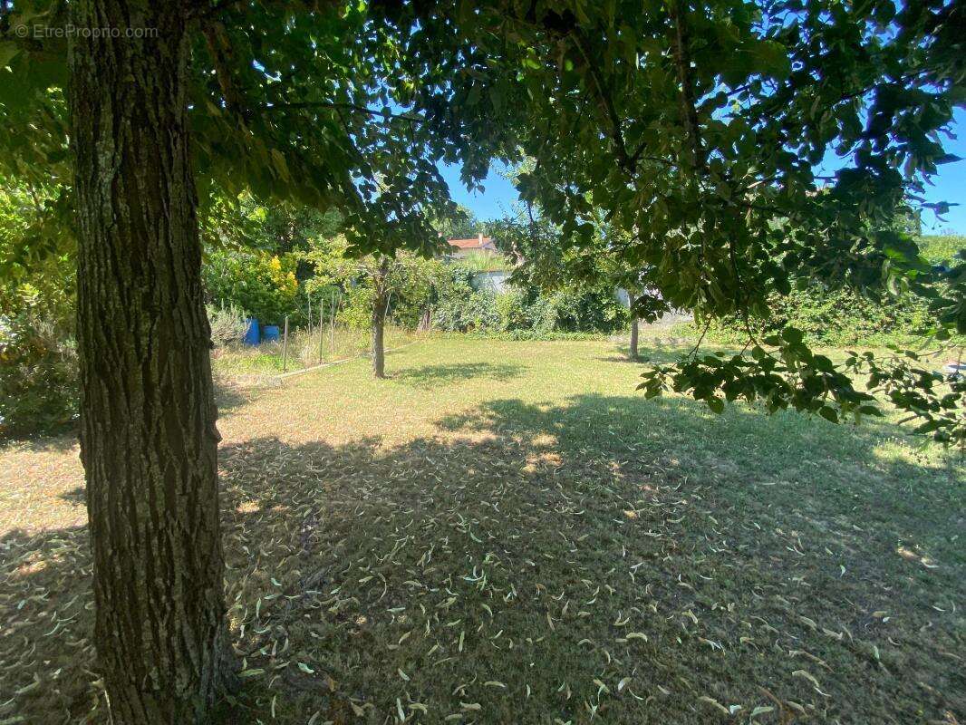 Maison à TOURNEFEUILLE