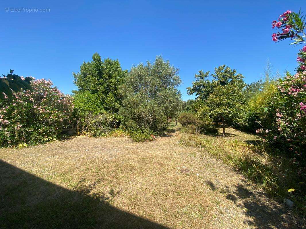 Maison à TOURNEFEUILLE