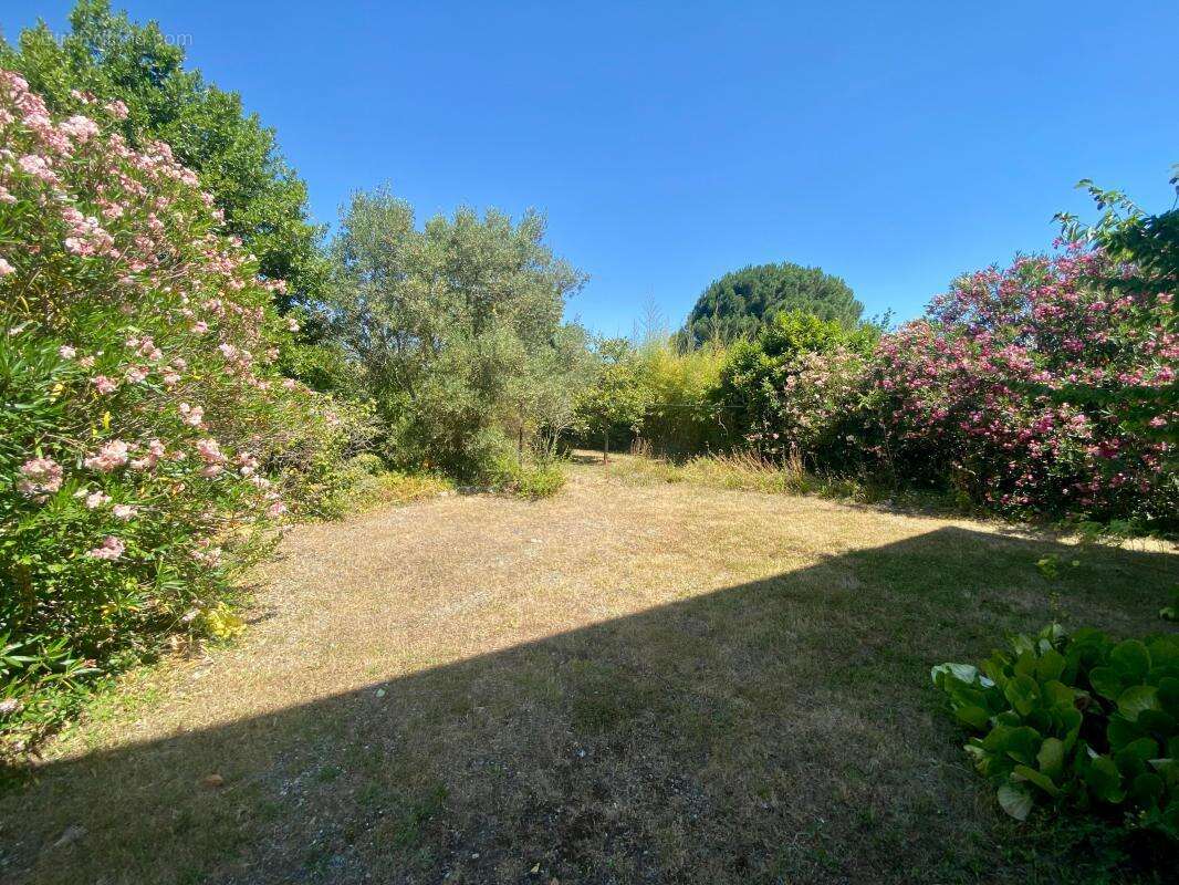 Maison à TOURNEFEUILLE