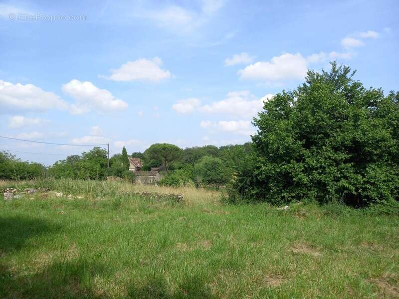 Maison à SAINT-PROJET