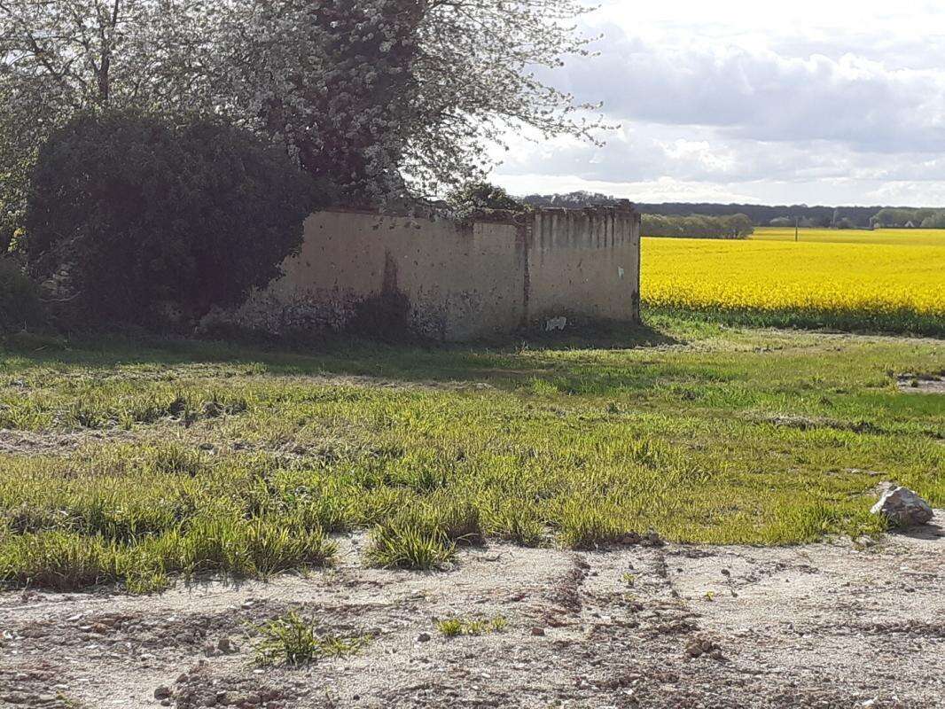 Terrain à CHATEAUNEUF-EN-THYMERAIS