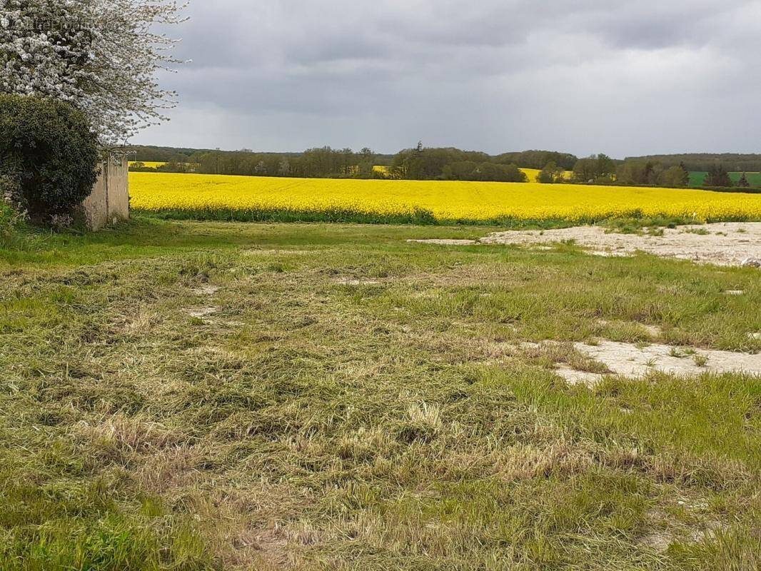 Terrain à CHATEAUNEUF-EN-THYMERAIS