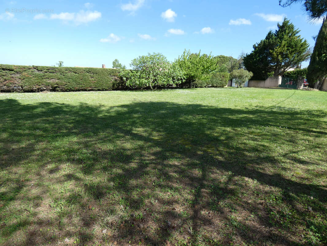 Terrain à LAVALETTE