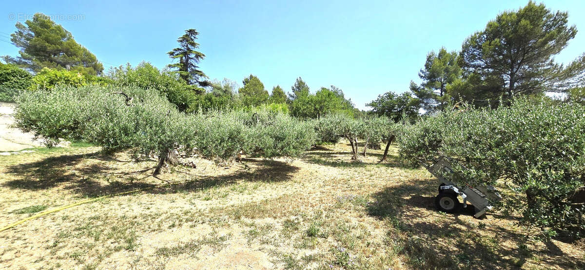 Maison à DRAGUIGNAN