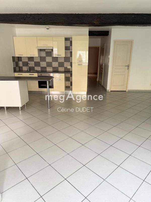 Appartement à SAINT-LAURENT-SUR-SAONE