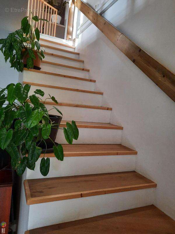 Maison à SAINTE-SUZANNE