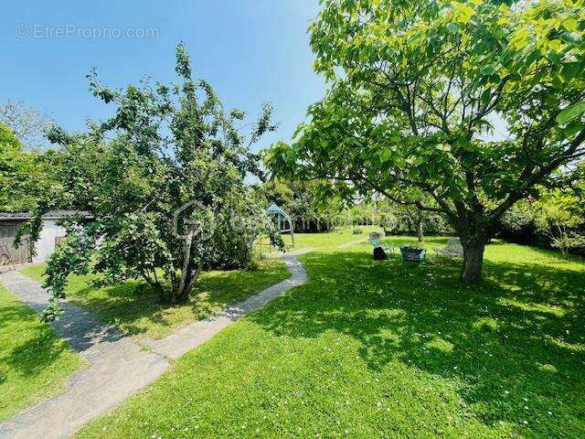 Maison à ILE-D&#039;ARZ