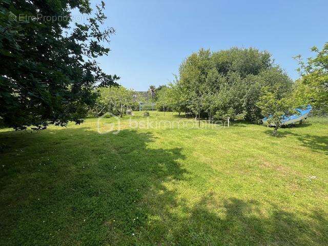 Maison à ILE-D&#039;ARZ