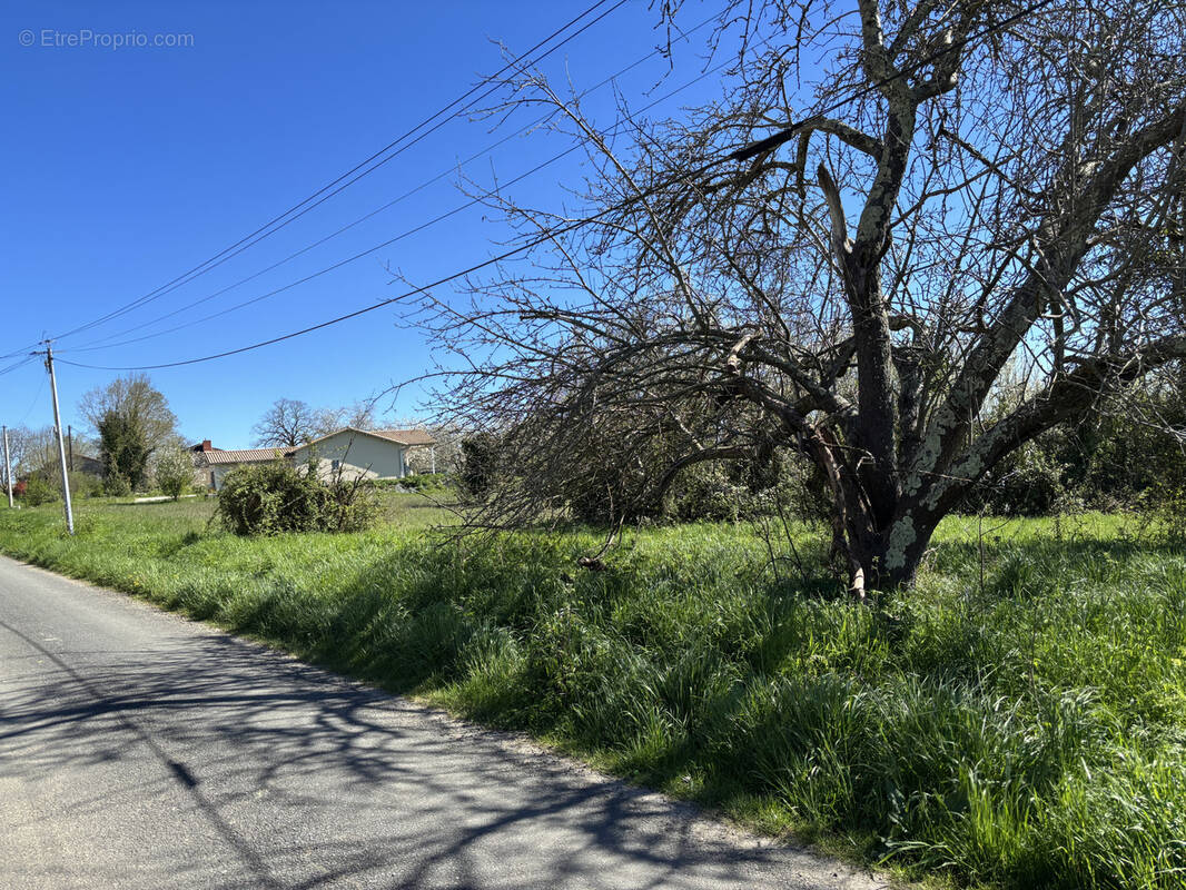 Terrain à SAINT-PRIVAT-DES-PRES