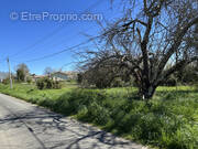 Terrain à SAINT-PRIVAT-DES-PRES