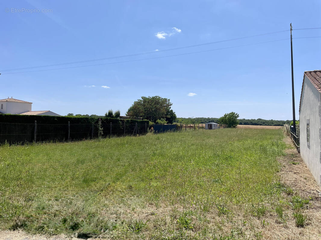 Terrain à ARCHINGEAY