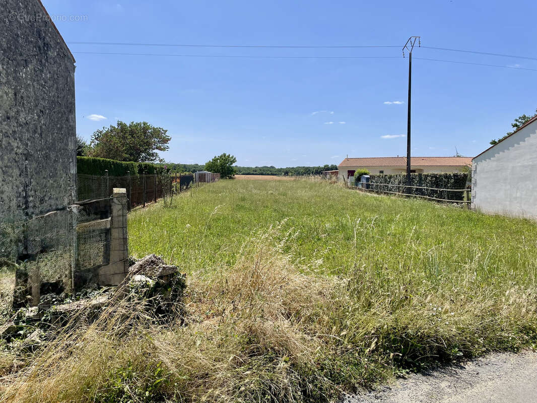 Terrain à ARCHINGEAY