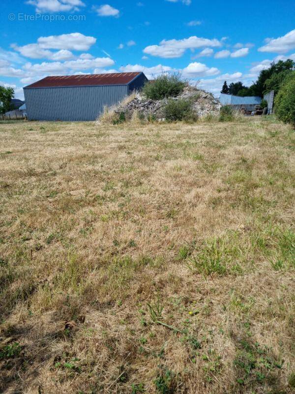 Terrain à LORRIS