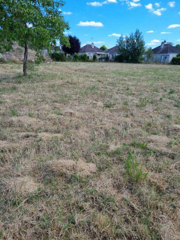 Terrain à LORRIS