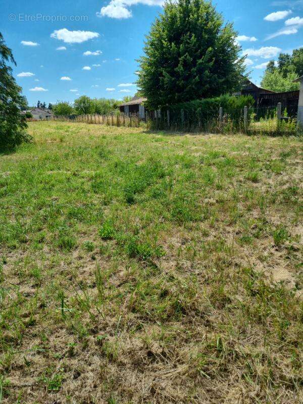 Terrain à LORRIS