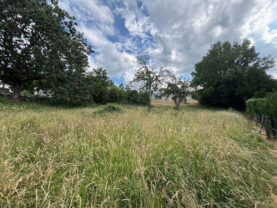 Terrain à LARRINGES