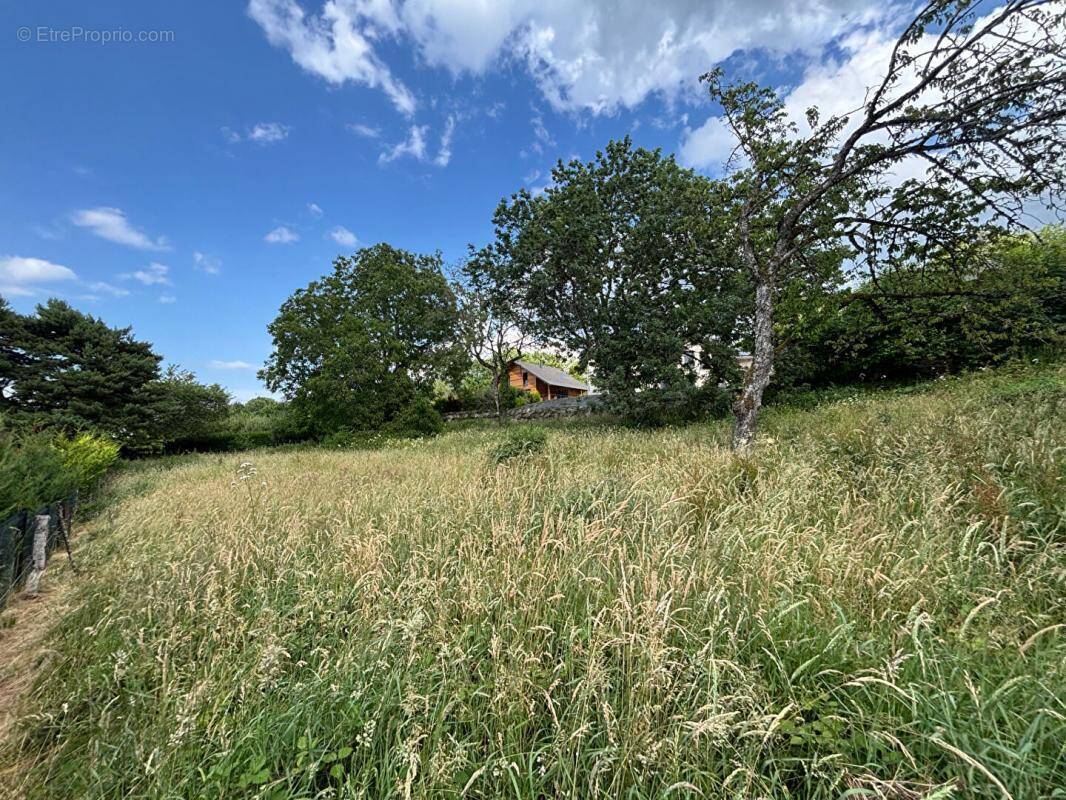 Terrain à LARRINGES