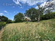 Terrain à LARRINGES