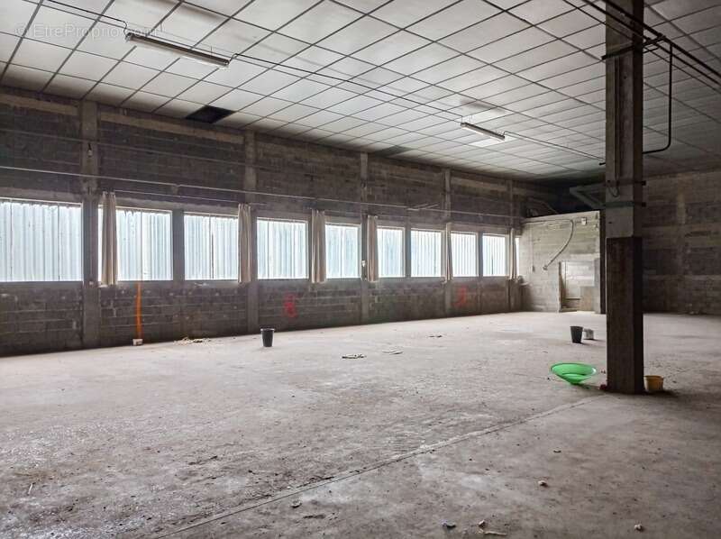 Commerce à SAINT-AMANS-VALTORET