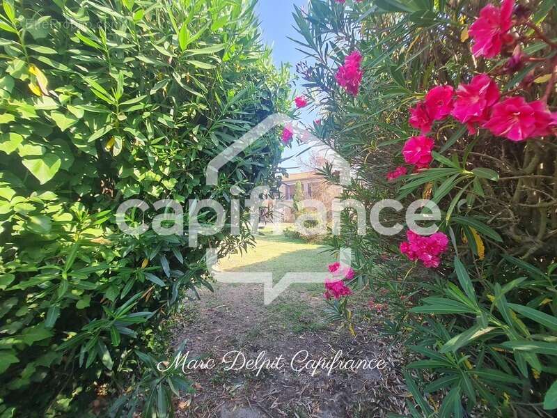 Appartement à SAINTE-MARIE