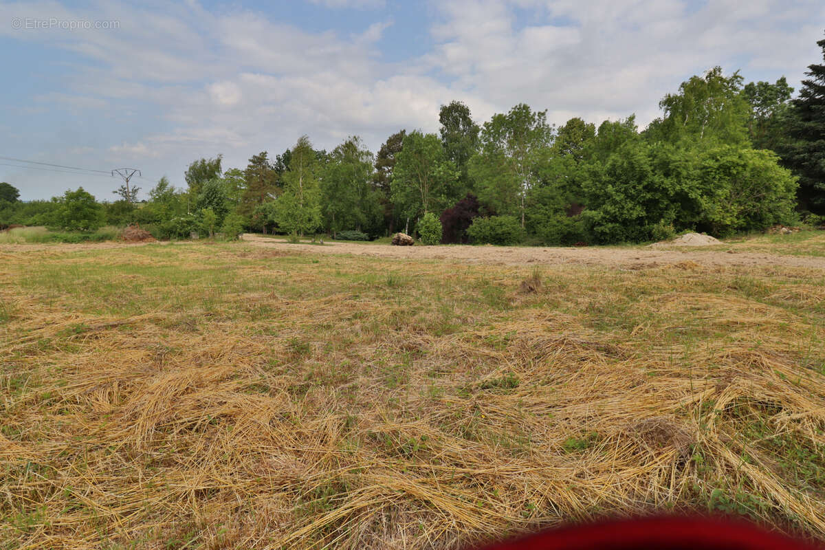 Terrain à BREVIANDES