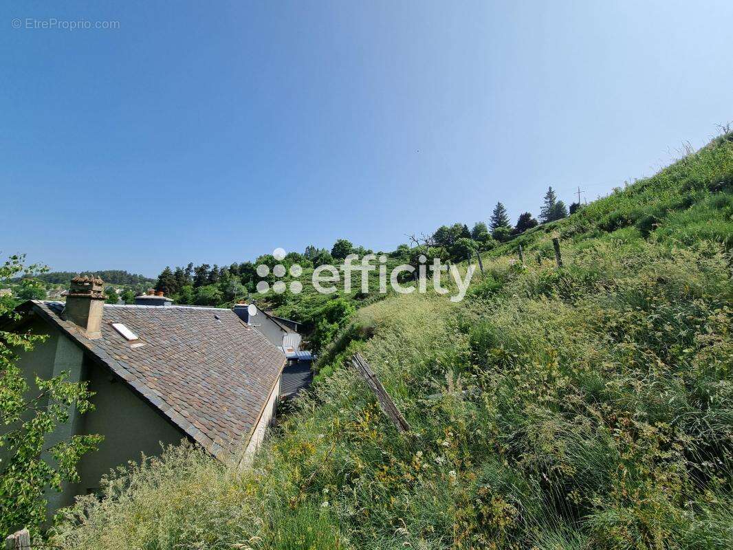 Maison à SAINT-ALBAN-SUR-LIMAGNOLE
