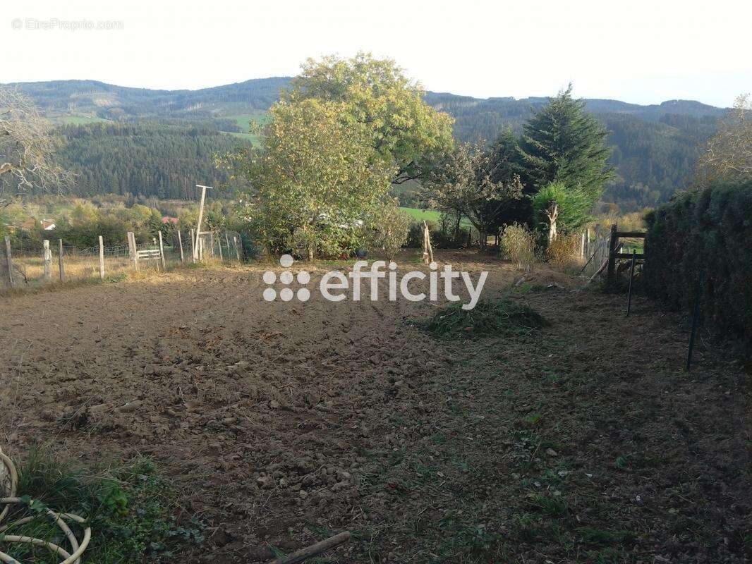 Maison à COURS-LA-VILLE