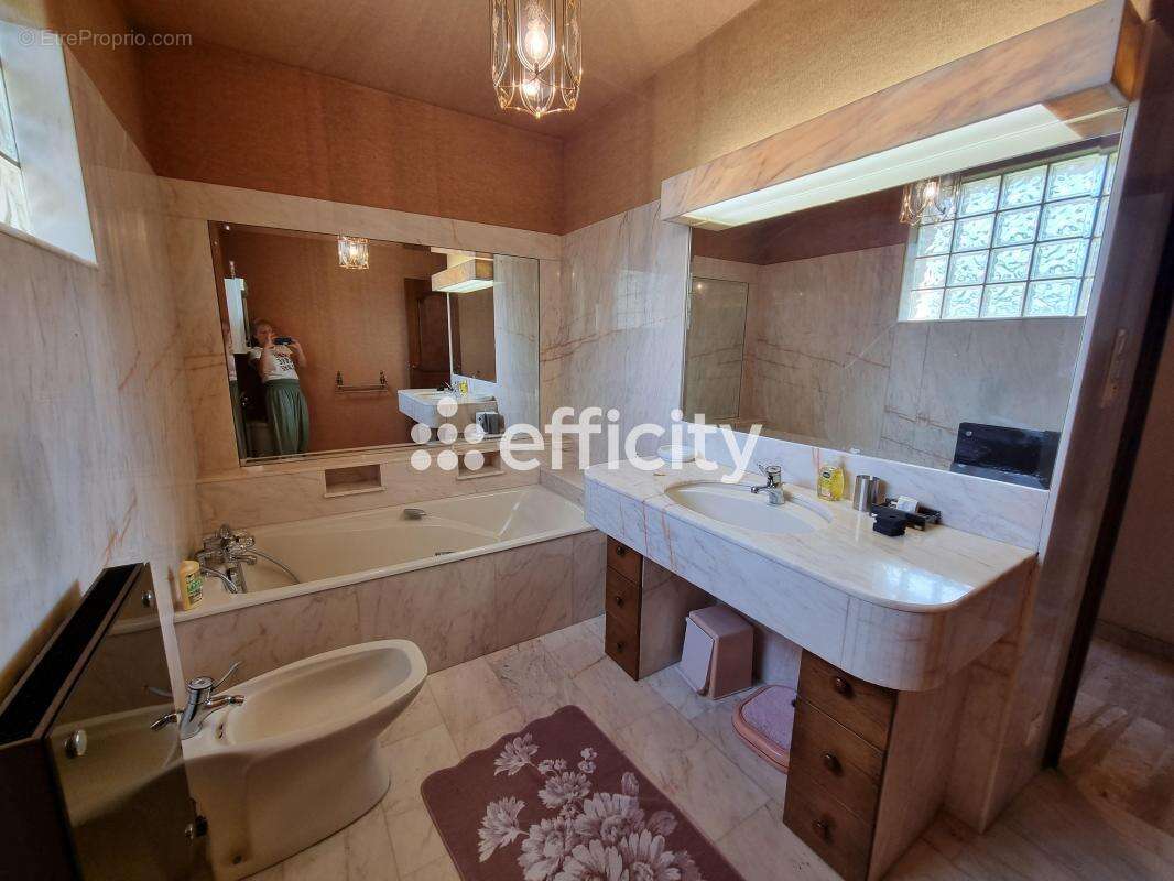 Maison à LE MALZIEU-VILLE