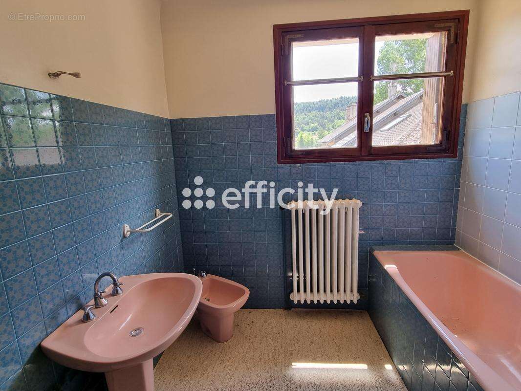 Maison à LE MALZIEU-VILLE