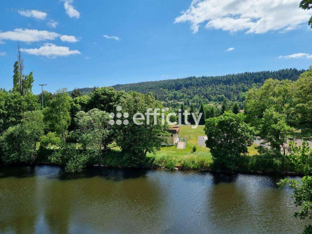 Maison à LE MALZIEU-VILLE