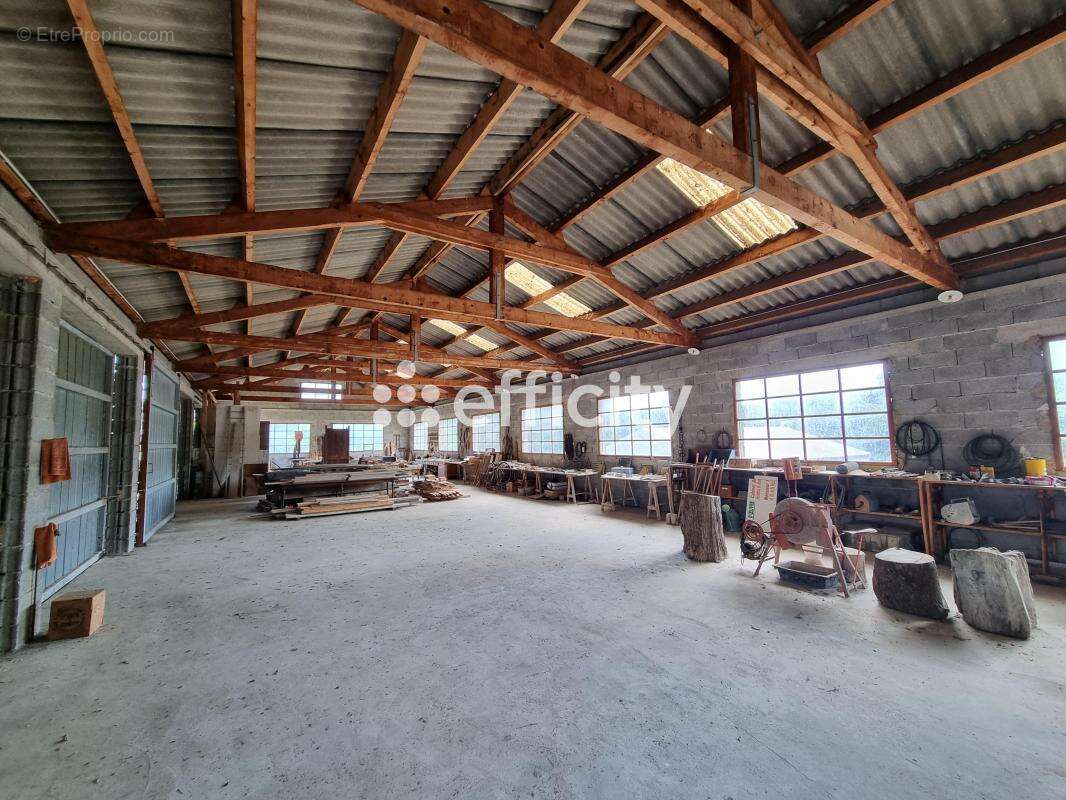 Maison à LE MALZIEU-VILLE