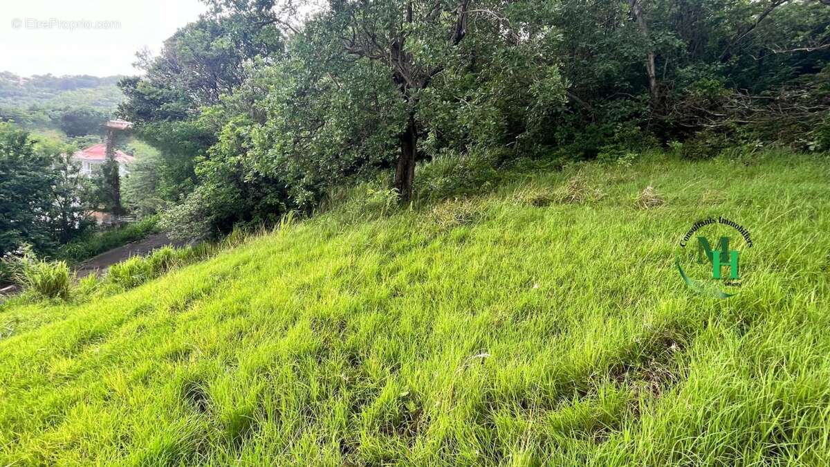 Terrain à LE ROBERT