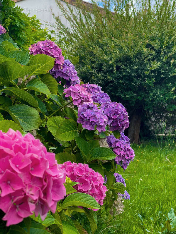 Maison à ANDERNOS-LES-BAINS