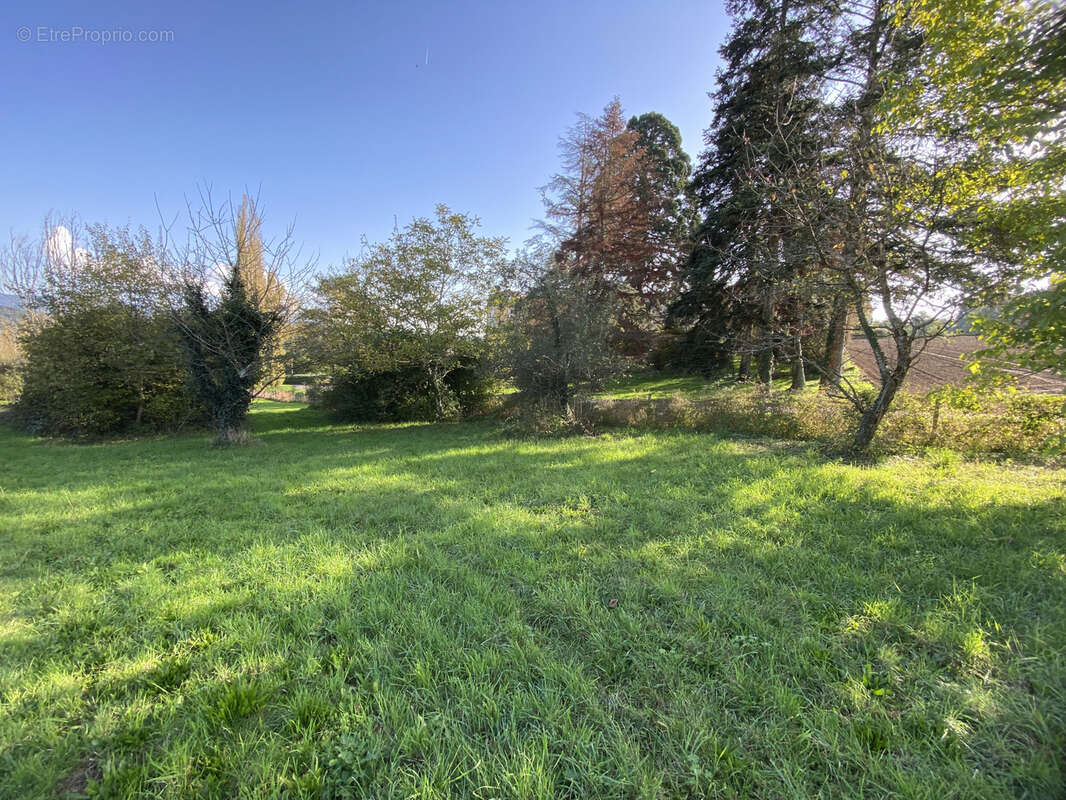 Terrain à COURPIERE