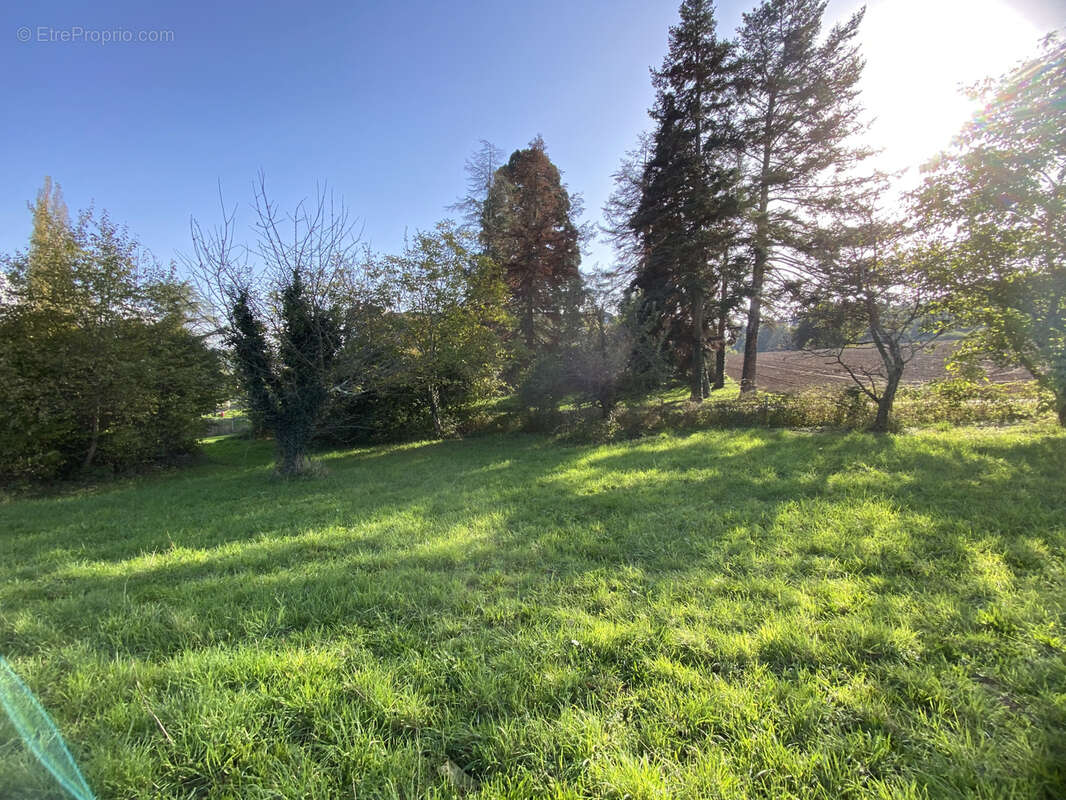 Terrain à COURPIERE