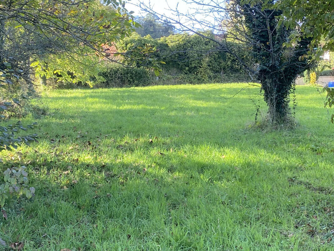 Terrain à COURPIERE