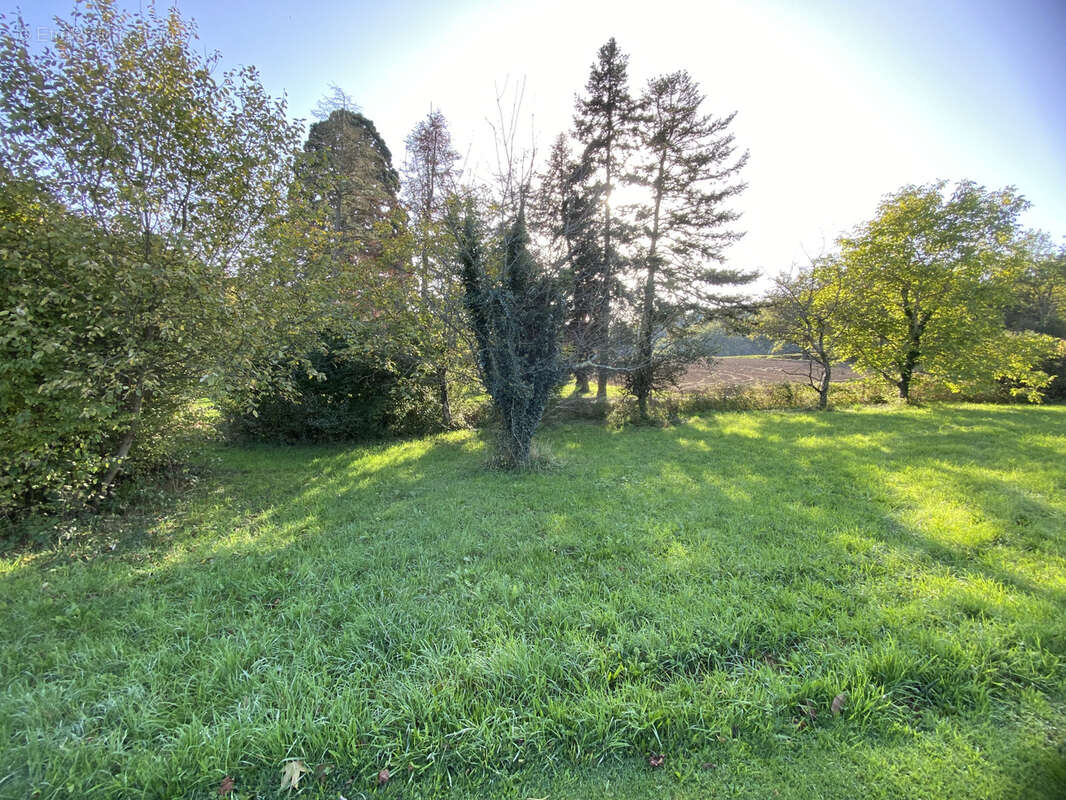 Terrain à COURPIERE