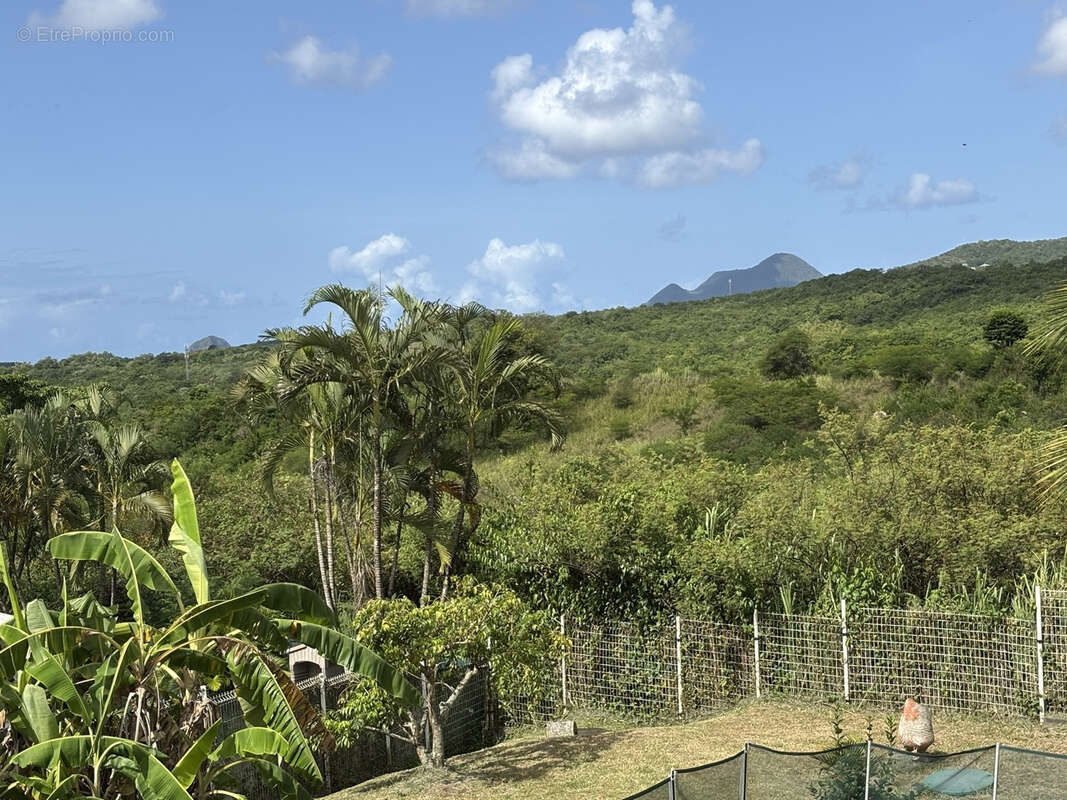 Maison à SAINTE-LUCE