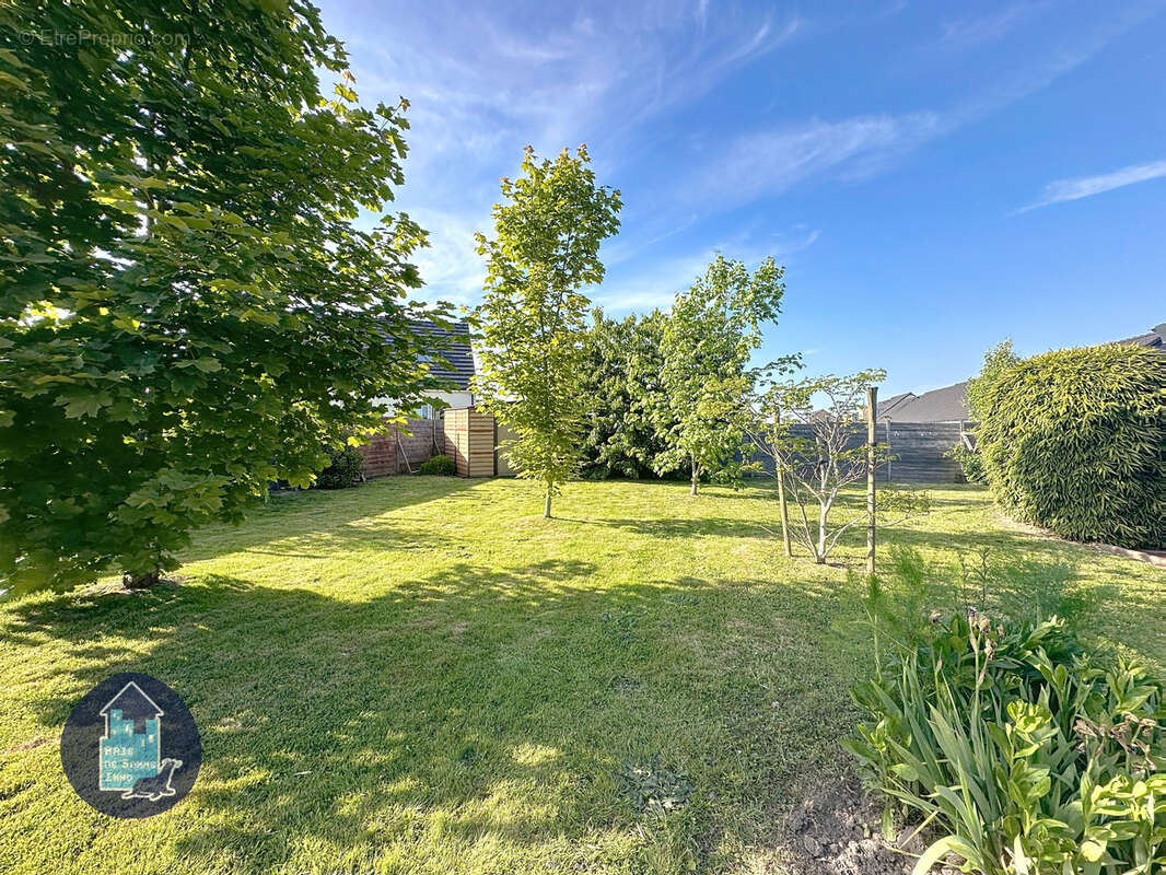 Maison à FRIVILLE-ESCARBOTIN