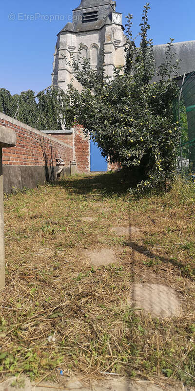 Commerce à AVESNES-LE-COMTE