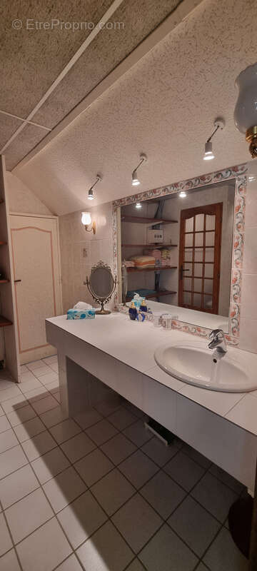 Maison à LA CELLE-SOUS-CHANTEMERLE