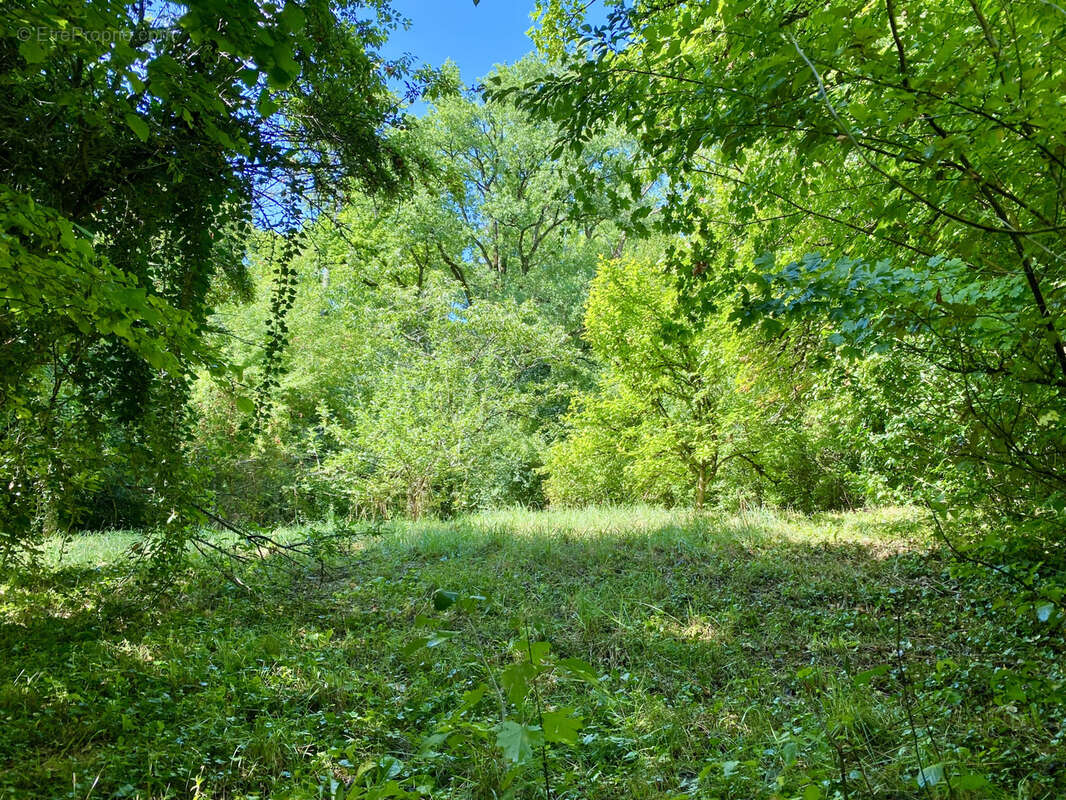 Maison à CHALAUTRE-LA-PETITE