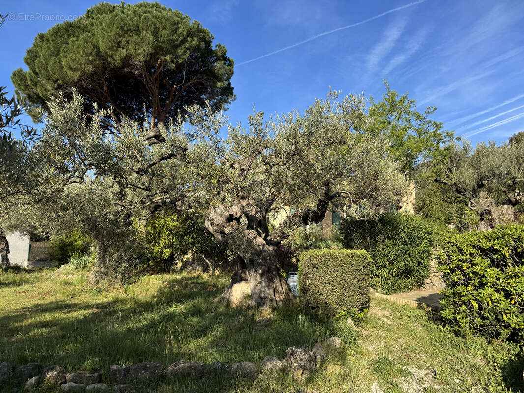 Maison à LE REVEST-LES-EAUX