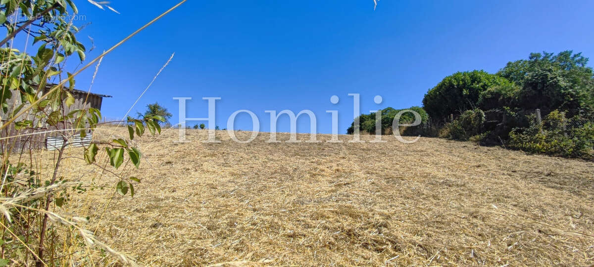 Maison à MONTRICHARD