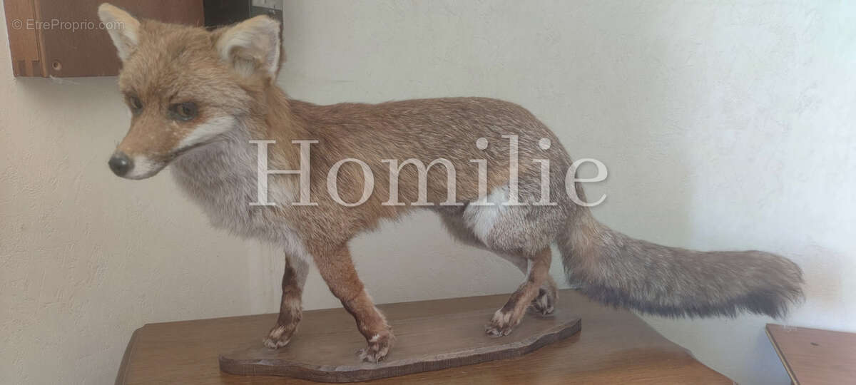 Maison à MONTRICHARD