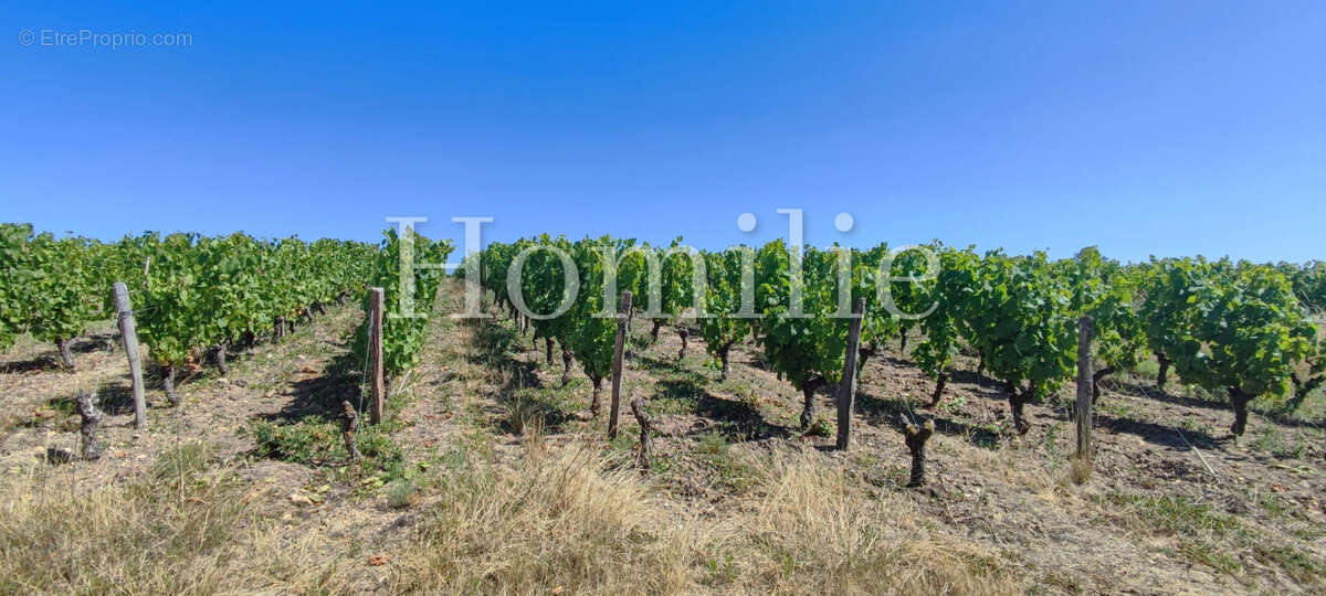 Maison à MONTRICHARD