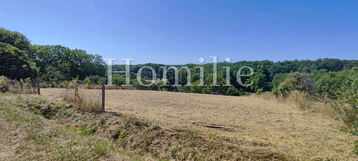 Maison à MONTRICHARD