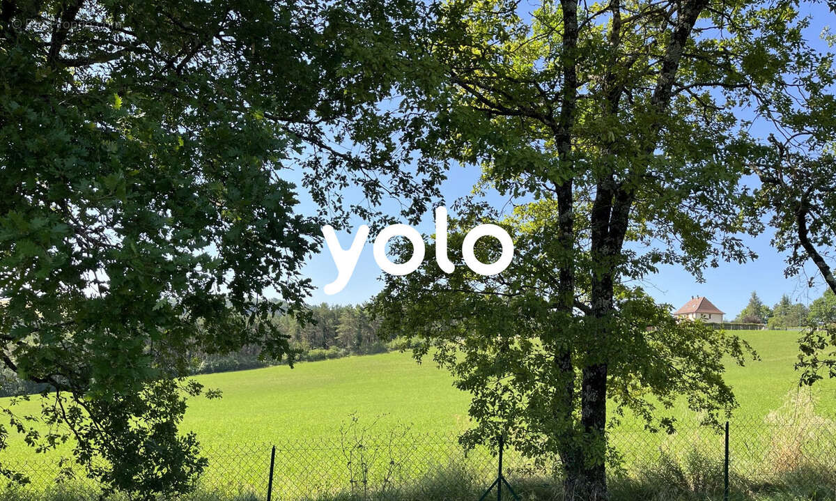 Terrain à MILHAC-D&#039;AUBEROCHE