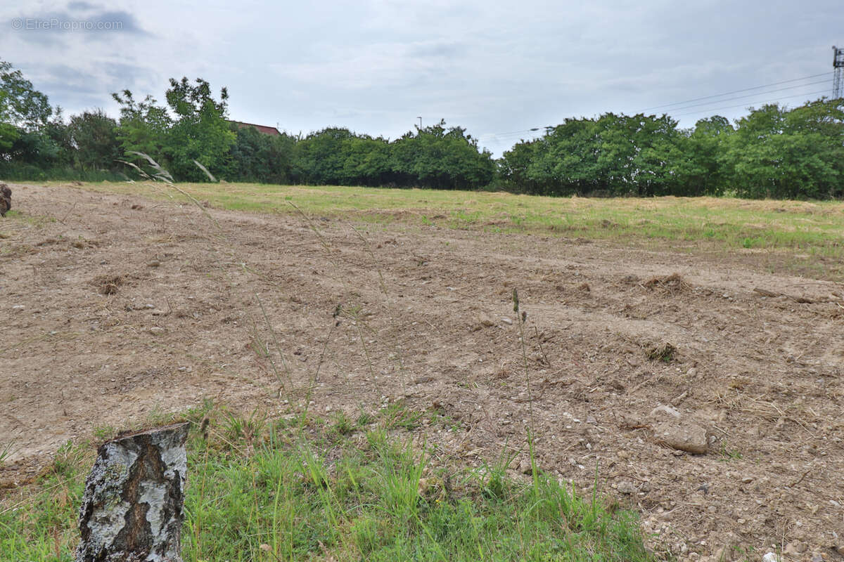 Terrain à BREVIANDES